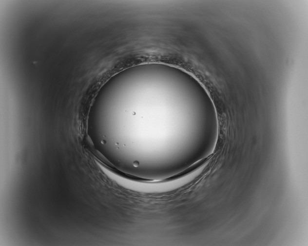 X0000099961253200805301307