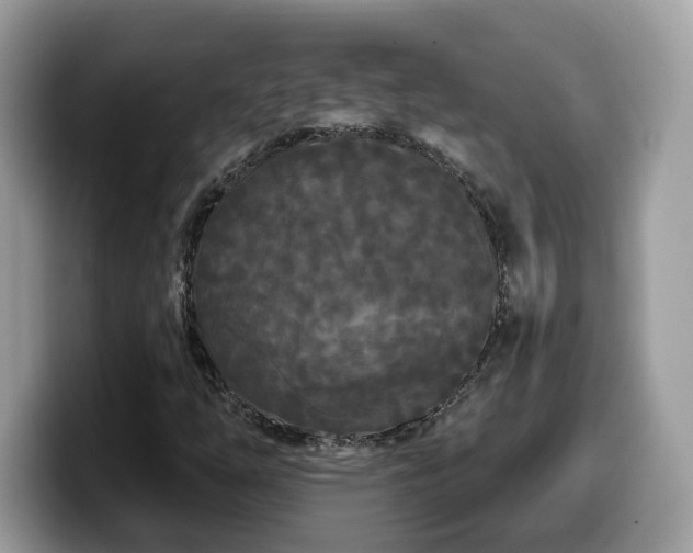 X0000099961254200805301307