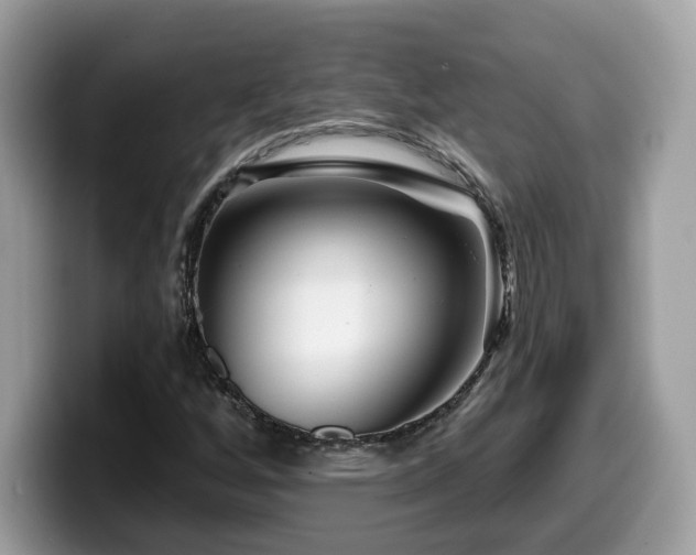 X0000099961256200805301307