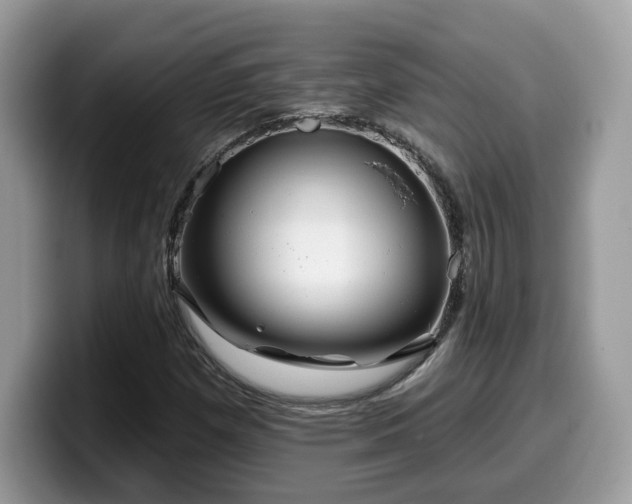 X0000099961257200805301307