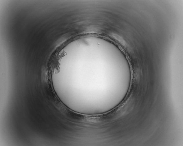 X0000099961258200805301307