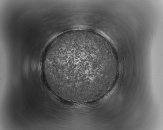 X0000099961259200805301307