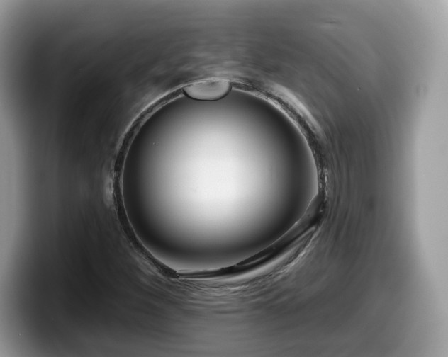 X0000099961260200805301307