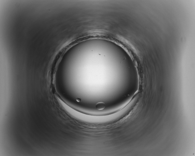X0000099961261200805301307