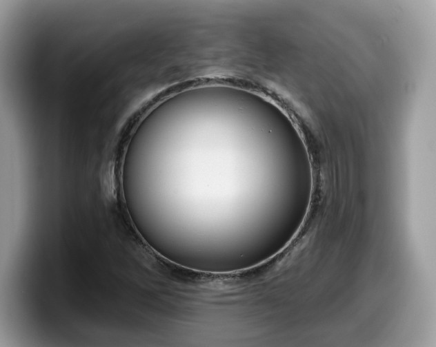 X0000099961262200805301307
