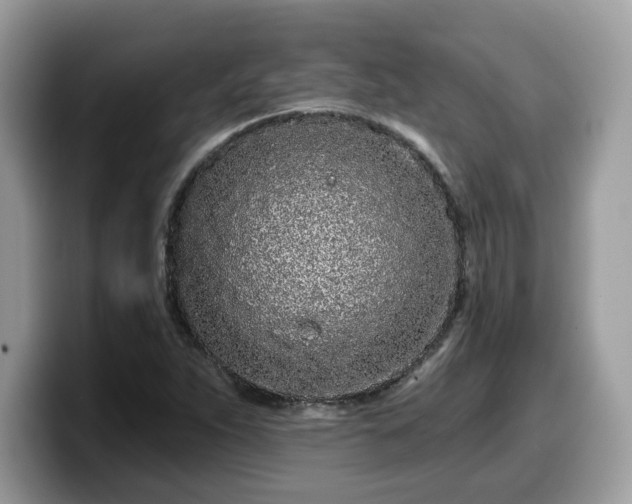 X0000099961263200805301307