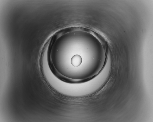 X0000099961264200805301307