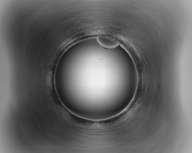 X0000099961265200805301307