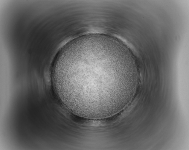 X0000099961266200805301307