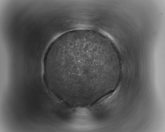 X0000099961267200805301307