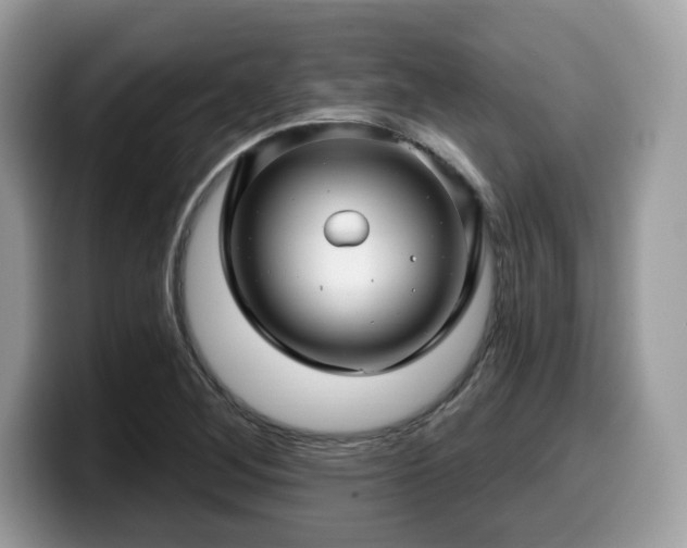 X0000099961268200805301307