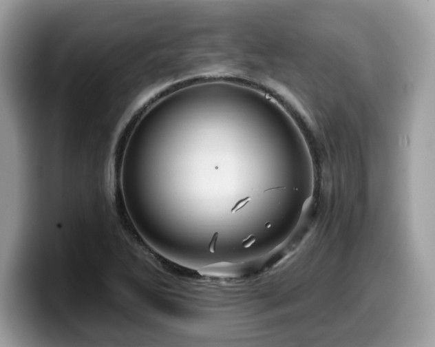 X0000099961270200805301307