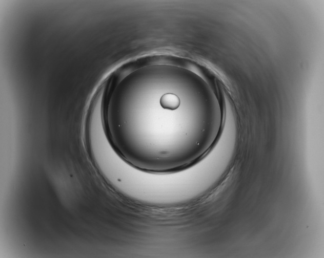 X0000099961272200805301307