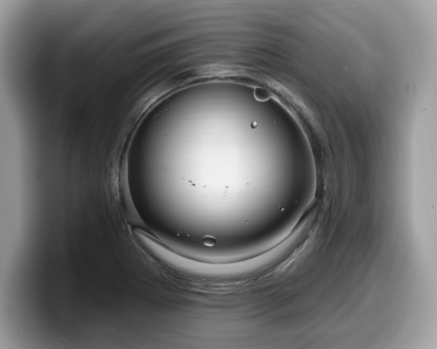 X0000099961273200805301307