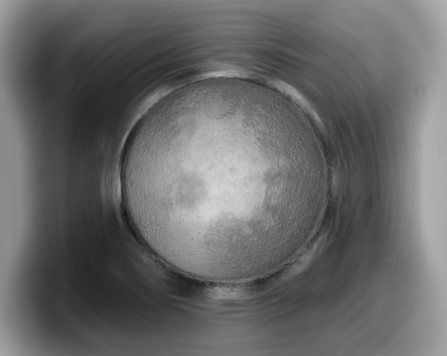 X0000099961274200805301307