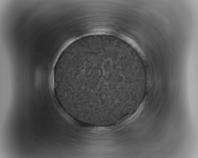 X0000099961275200805301307