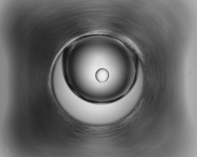 X0000099961276200805301307
