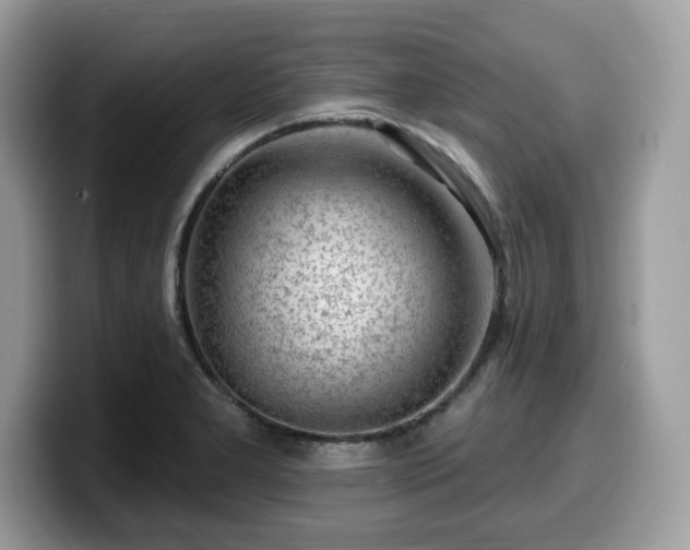 X0000099961277200805301307