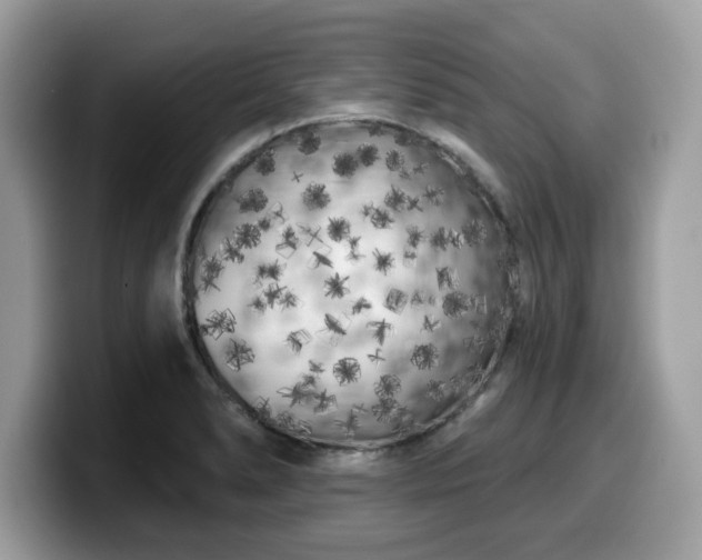 X0000099961278200805301307