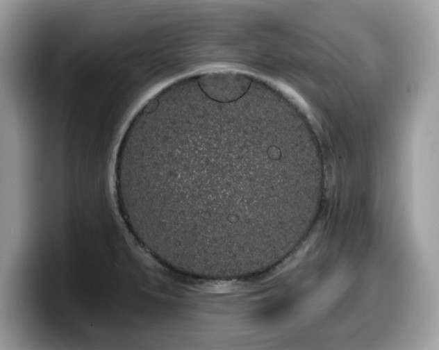 X0000099961279200805301307