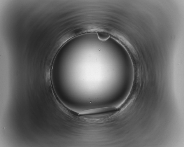 X0000099961281200805301307
