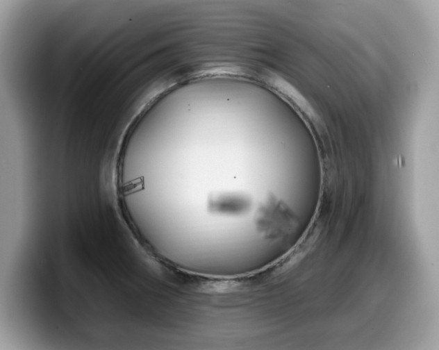 X0000099961282200805301307
