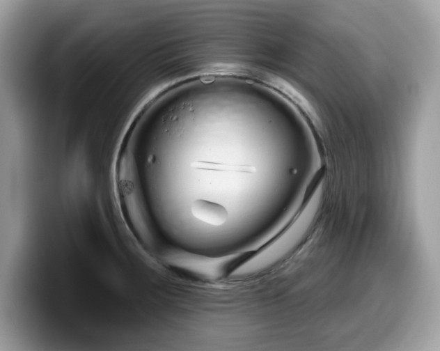 X0000099961283200805301306