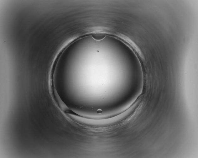 X0000099961285200805301306