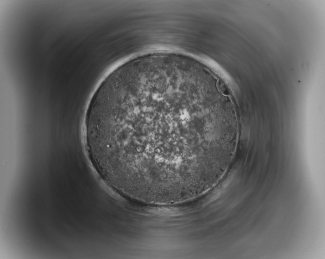 X0000099961287200805301306