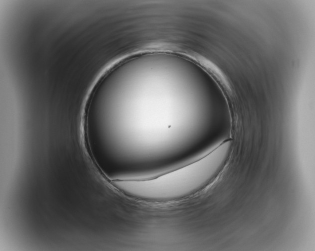 X0000099961288200805301306