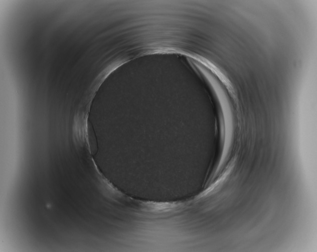X0000099961289200805301306