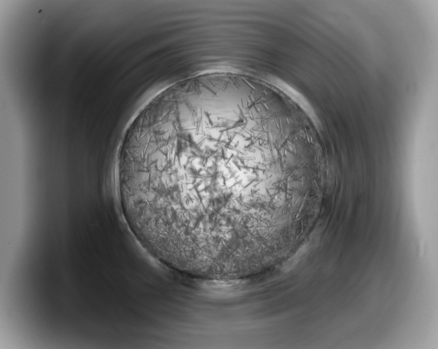 X0000099961290200805301306