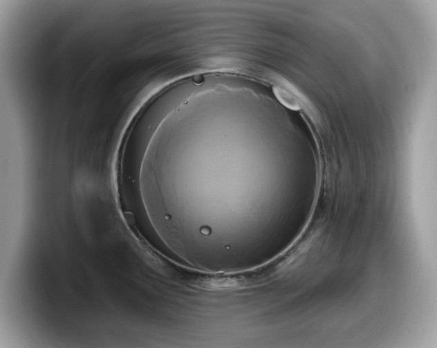 X0000099961291200805301306