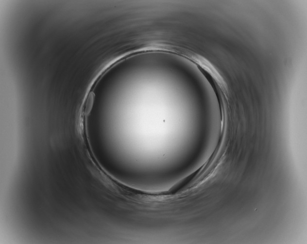 X0000099961292200805301306