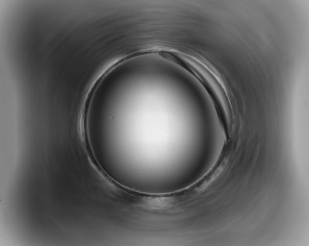 X0000099961293200805301306