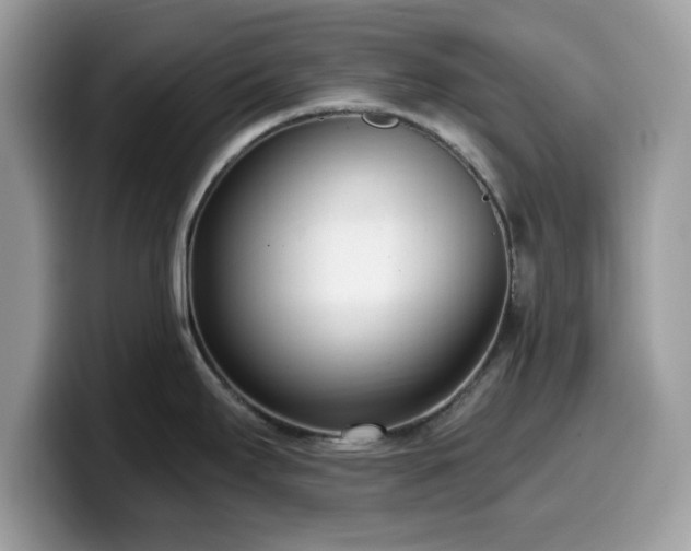 X0000099961295200805301306