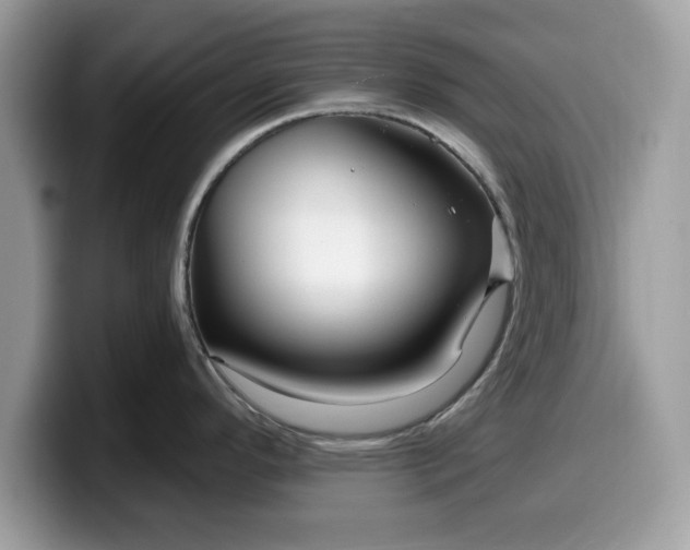 X0000099961296200805301306