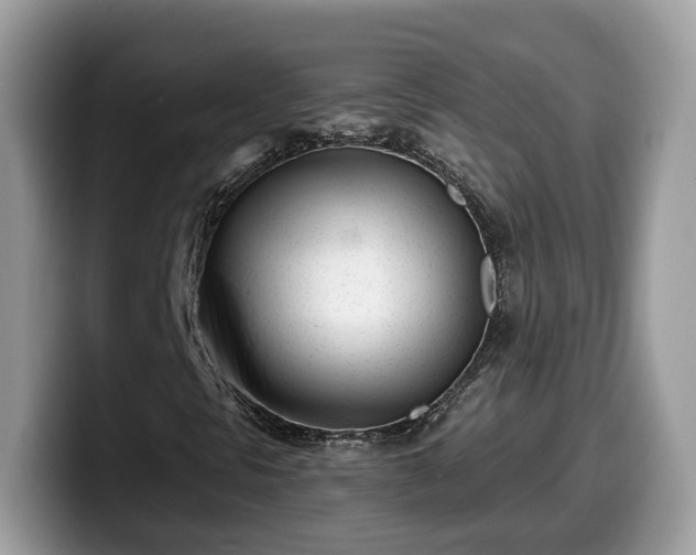 X0000099961297200805301306