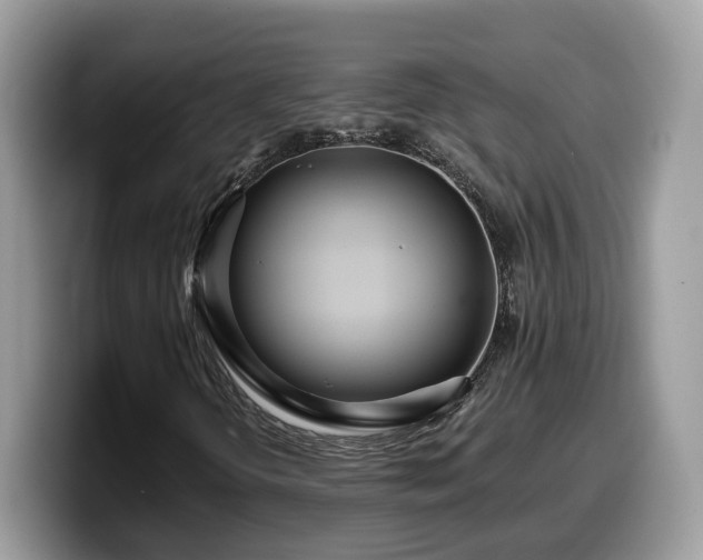 X0000099961298200805301306