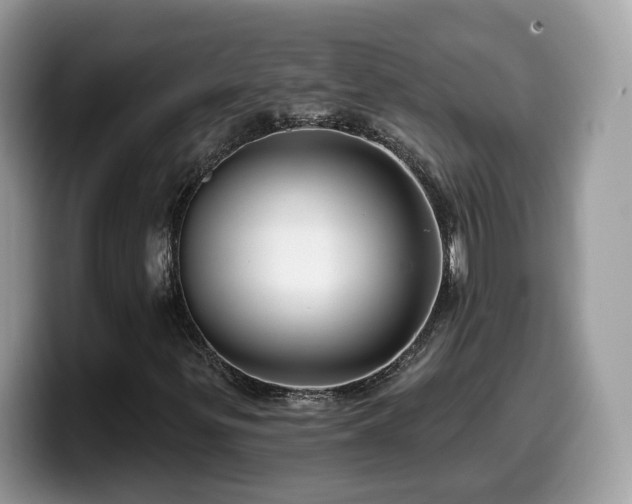 X0000099961299200805301306