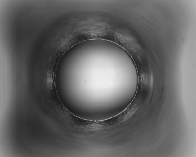 X0000099961300200805301306