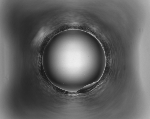 X0000099961301200805301306