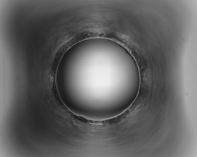 X0000099961302200805301306