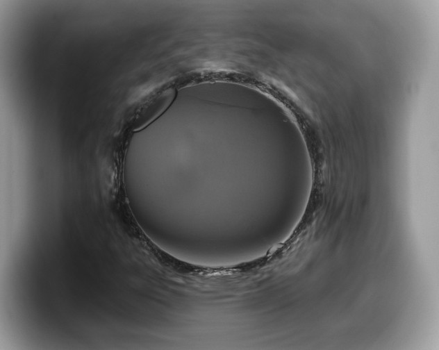 X0000099961303200805301306