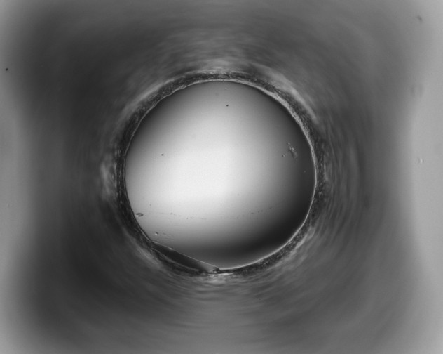 X0000099961304200805301306