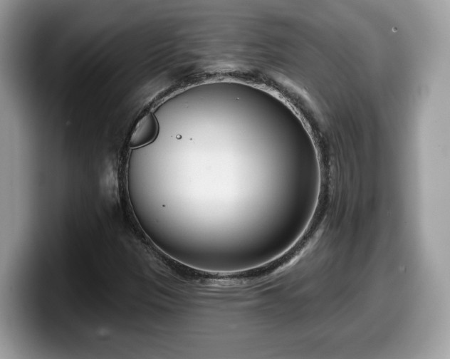 X0000099961305200805301306