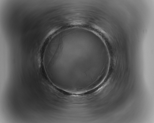 X0000099961306200805301306