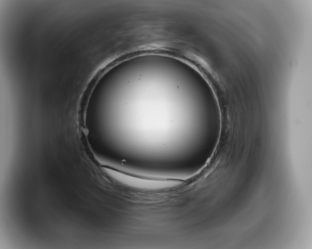 X0000099961308200805301306