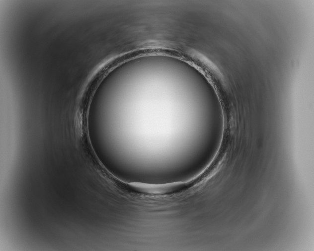 X0000099961310200805301306
