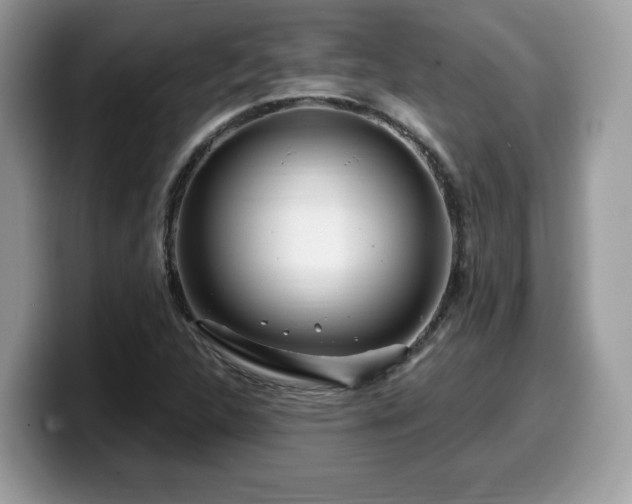 X0000099961312200805301306